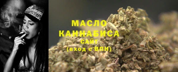 прущий лед Бородино