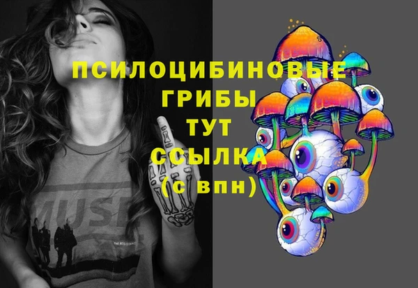 герыч Бронницы