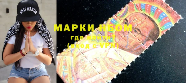 прущий лед Бородино