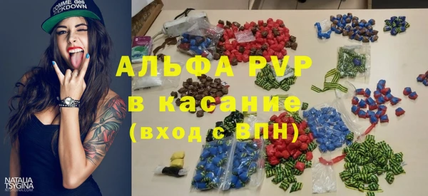 spice Верея