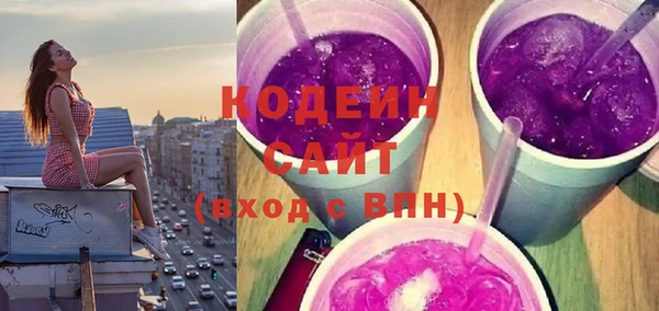 прущий лед Бородино