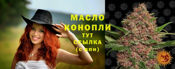 прущий лед Бородино