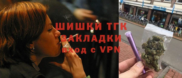 прущий лед Бородино